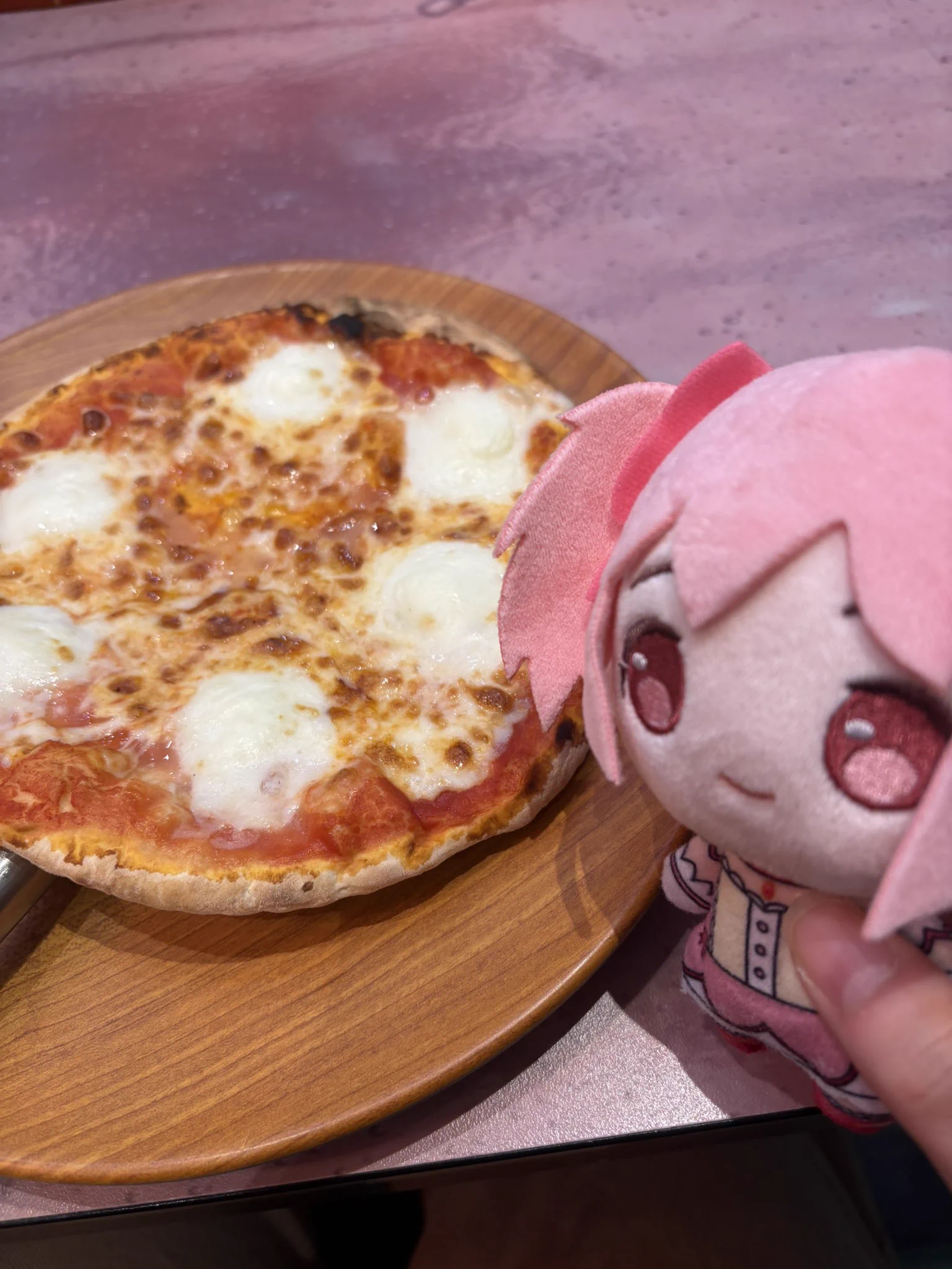 いかにゃん on X: 