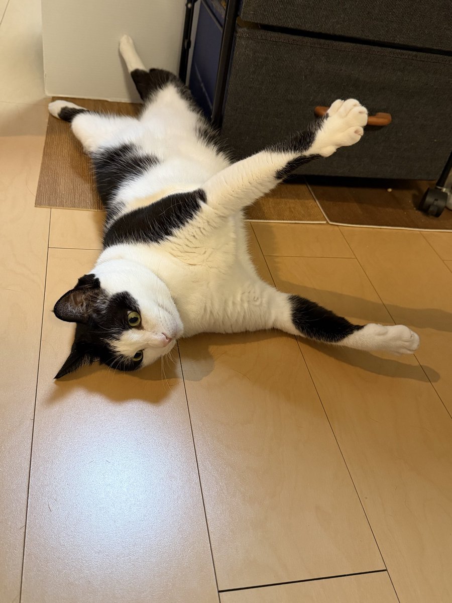 Chiko91680930's tweet photo. 帰ったらナゾのポーズ🤣 https://t.co/5n7CY7ZrGt
