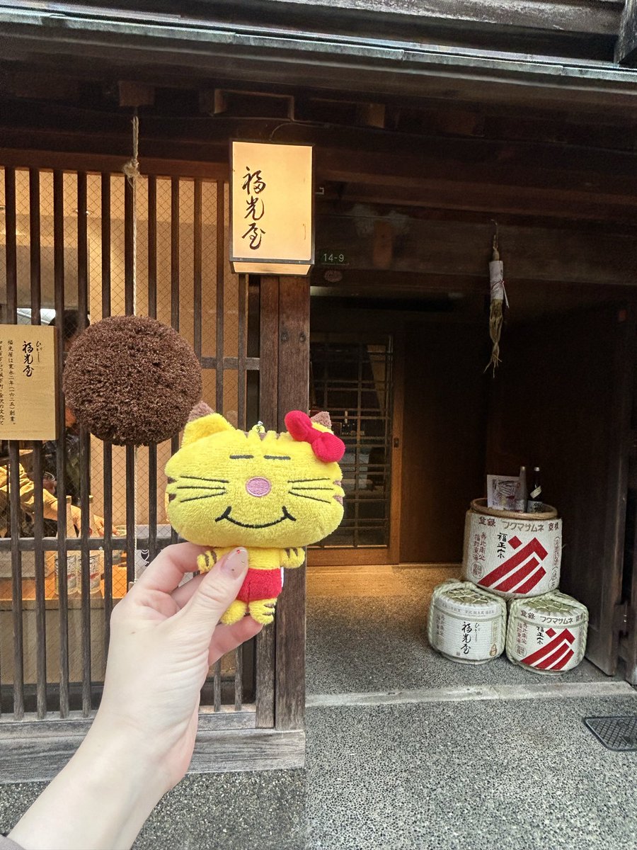 riu4768's tweet photo. 仕事で金沢行ったので変身ご褒美旅のNEWSの足跡たどってきた🐾
上司もついてきてくれて、ここでトラと写真撮らんでええんか？ってノリノリでネコますのことかわいがってくれた🐯✨ https://t.co/ICVIDpklXQ