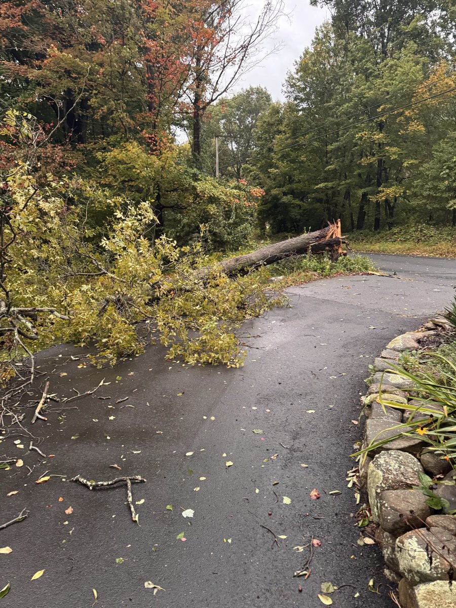 rindfleischm's tweet photo. Wind damage in Haddam this morning. @ryanhanrahan https://t.co/0cS36vxHqP
