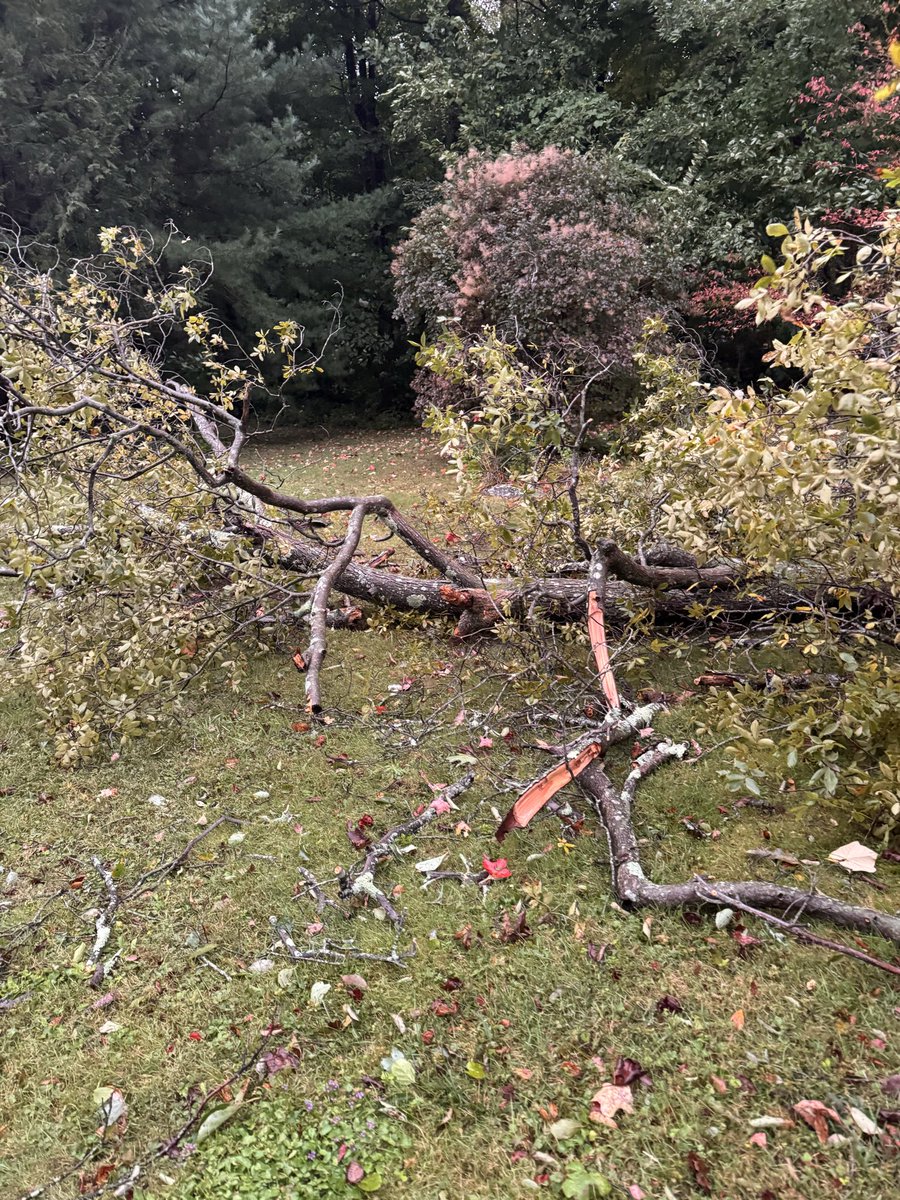 rindfleischm's tweet photo. Wind damage in Haddam this morning. @ryanhanrahan https://t.co/0cS36vxHqP