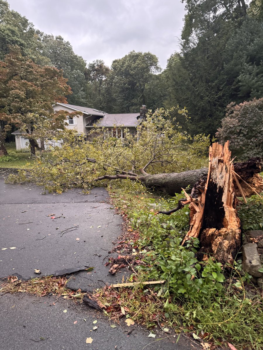 rindfleischm's tweet photo. Wind damage in Haddam this morning. @ryanhanrahan https://t.co/0cS36vxHqP