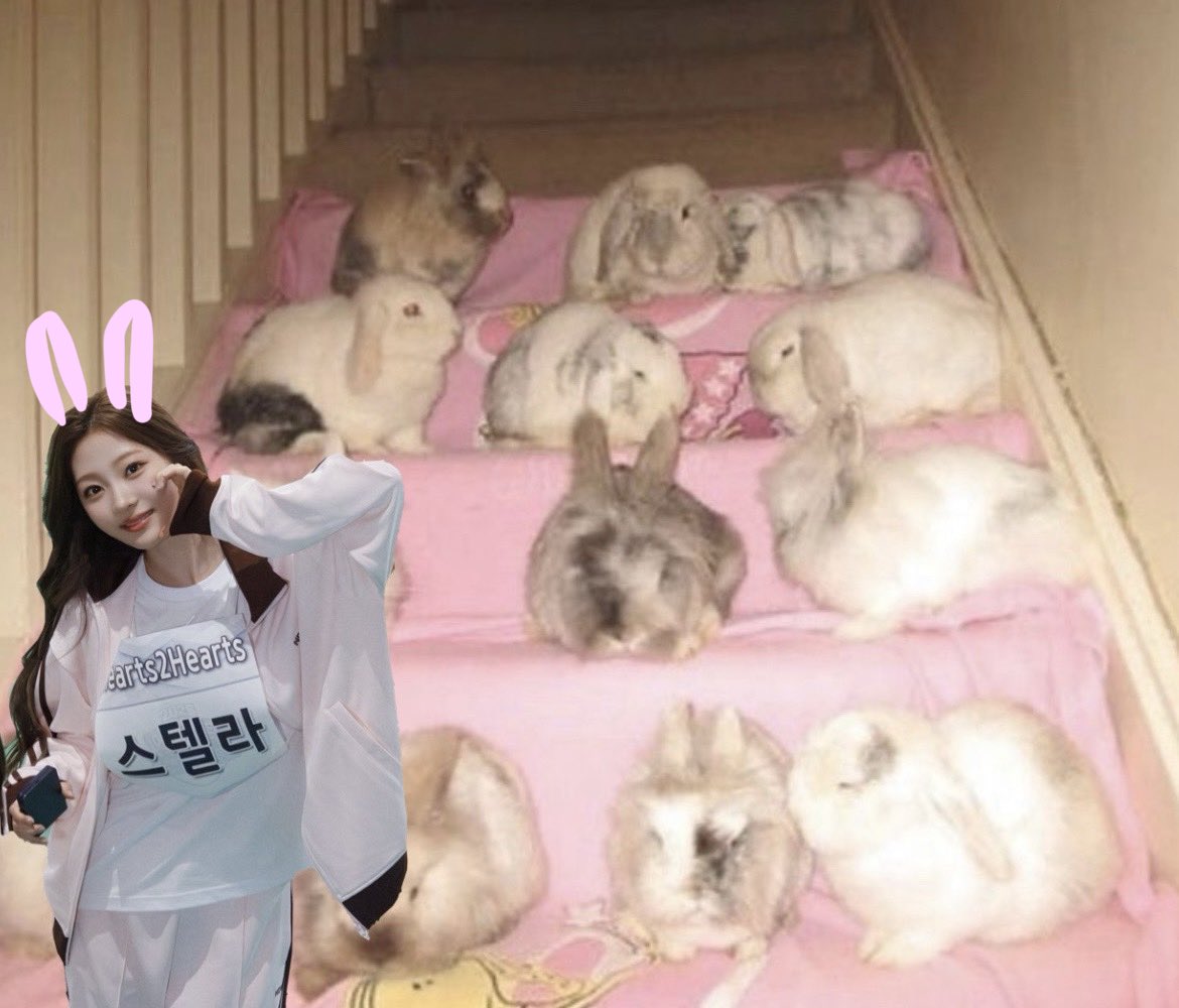 yfilune's tweet photo. 세계토끼의날이래여~~!!!  🐇💕🐇💕🐇💟 https://t.co/NAwcmC4IYQ