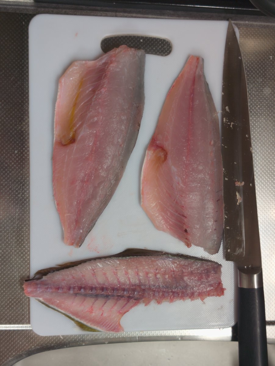 Tenta_Tender's tweet photo. 昨日のこしょこしょはですね…
こうなりました！！🐟️✨️

見習���アシスタントくんに捌くの手伝ってもらいつつ、お土産にもらった醤油をつけて美味しくいただきましたとさ😋

個人的にはショゴの天ぷらがうまかった https://t.co/COY8hRphBJ