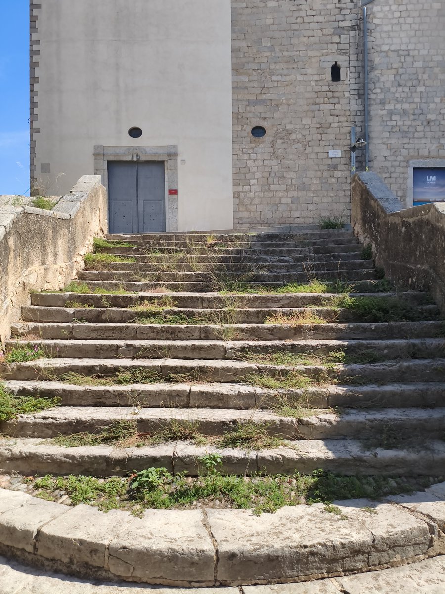 MilloremGirona's tweet photo. Així d'abandonada està la Pujada de la Mercè. Sembla que a l'Ajuntament de Girona se li ha oblidat la neteja i el manteniment bàsic de la ciutat. Les herbes menjan-se el patrimoni i cap actuació a la vista. Quina vergonya de deixadesa! @Girona_Cat @llsalellasvilar @sergicot https://t.co/hyLNShTkm5