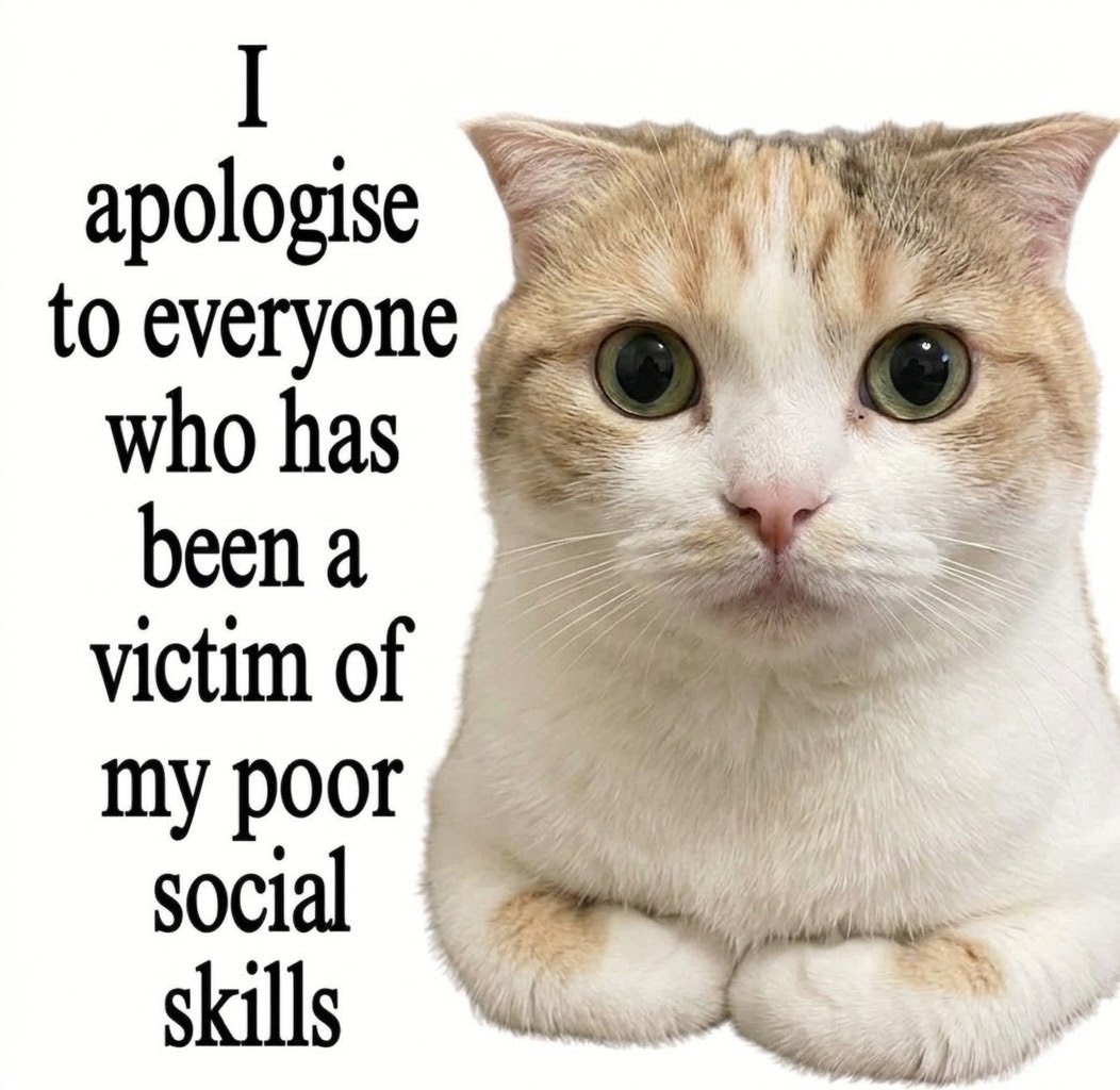 sillymeow4u's tweet photo. https://t.co/HWIWXUJ7DO