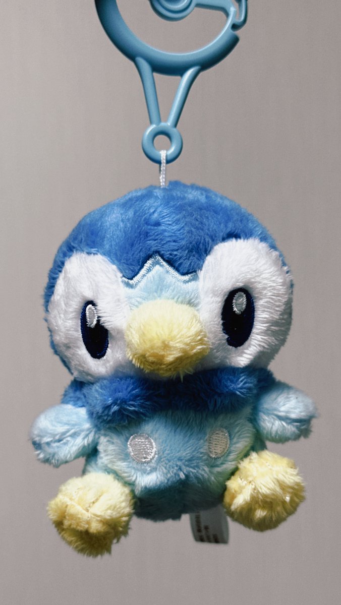DE702_1013's tweet photo. カラビナポッチャマふわふわで赤ちゃんみたいでかわいい🐧 https://t.co/hfJncJun8m