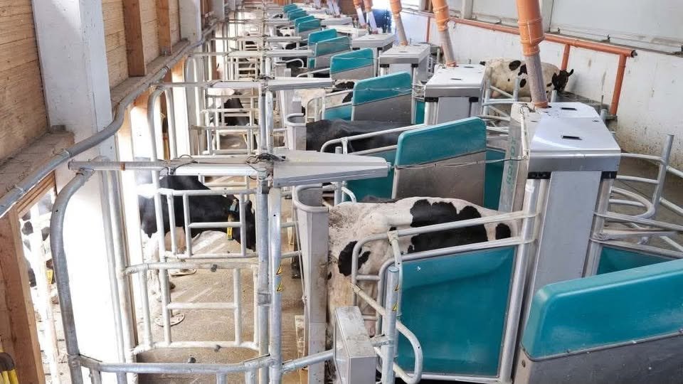 WimdenOudsten's tweet photo. De Oekraïense Zuivelmaatschappij
De Ukrainian Dairy Company bouwt wat moet uitgroeien tot...De grootste robotmelkveehouderij ter wereld bevindt zich in de regio Kiev in Oekraïne.
Gefinancierd door de Nederlandse overheid met ons Geld….. https://t.co/nOWp1qPHKN
