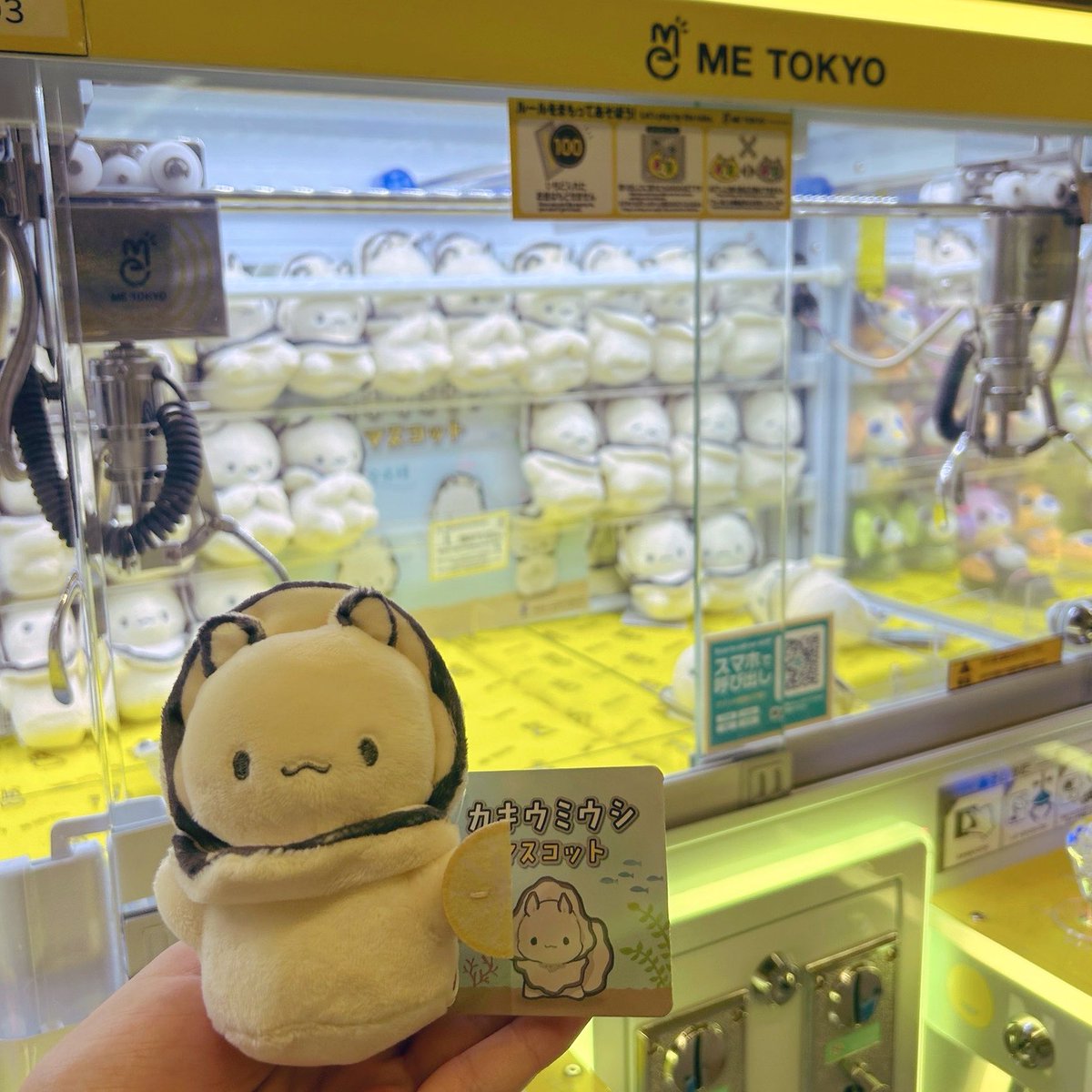 Marie_8085's tweet photo. か、かわい〜！！！！！
原作ライクな理想のカキウミウシぬい✨ https://t.co/y01PenDmM9