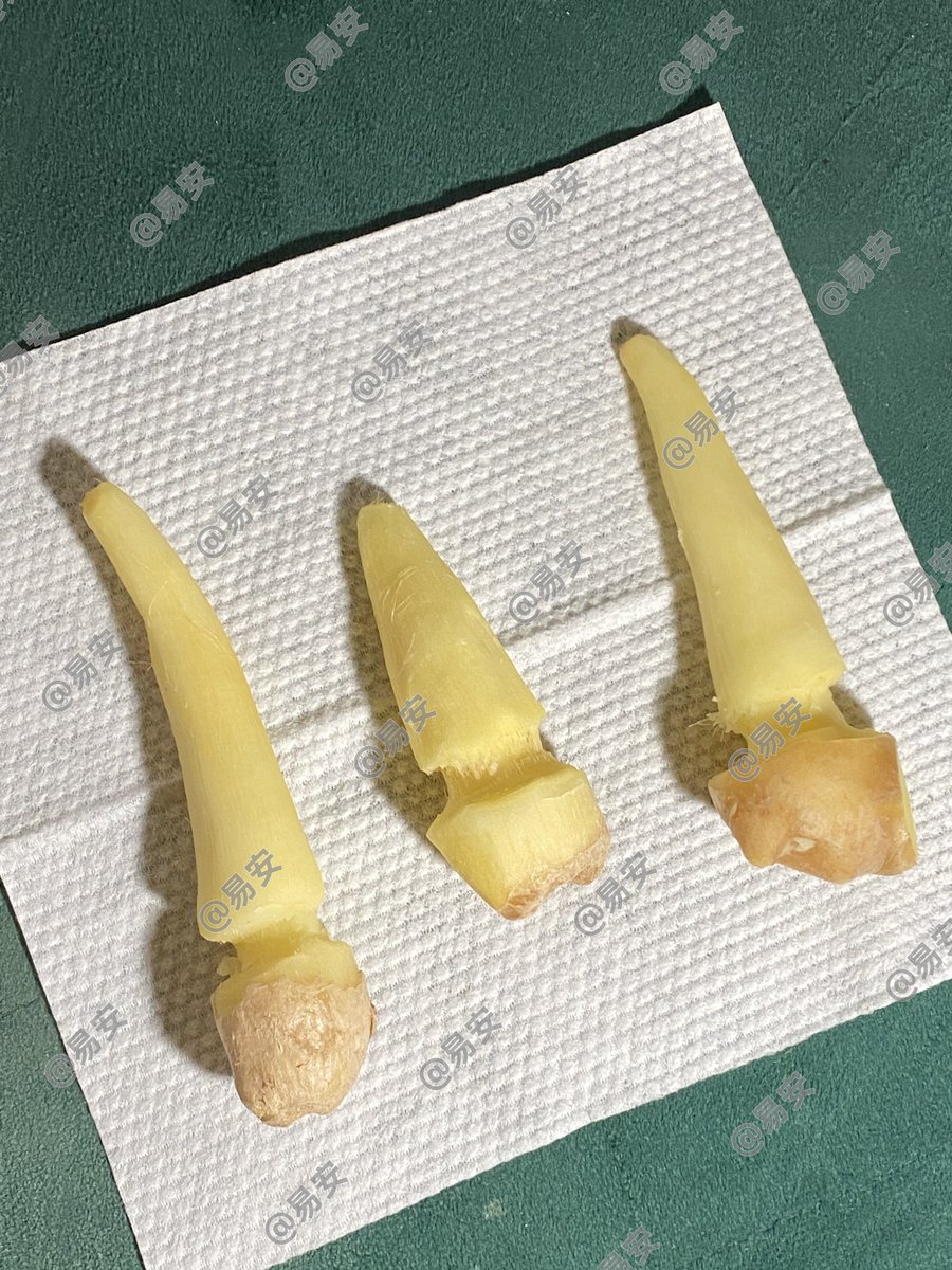 liq1080104's tweet photo. 记录一次第一张实践 比想象中的疼！某人下手怎么那么重还不让我用手挡！！！
👧🏻:我想试试姜罚
🐶:好呀满足你
于是他就从包里拿出了三块大姜...谁家好人出门包里装的全是姜啊！姜罚好辣好痛，疼的动都动不敢动。

不过整体来说还是很开心的一次sj啦
#spank #打屁股 #小圈 #实践 #男主女贝 #姜罚 https://t.co/8FAz9qF4VW