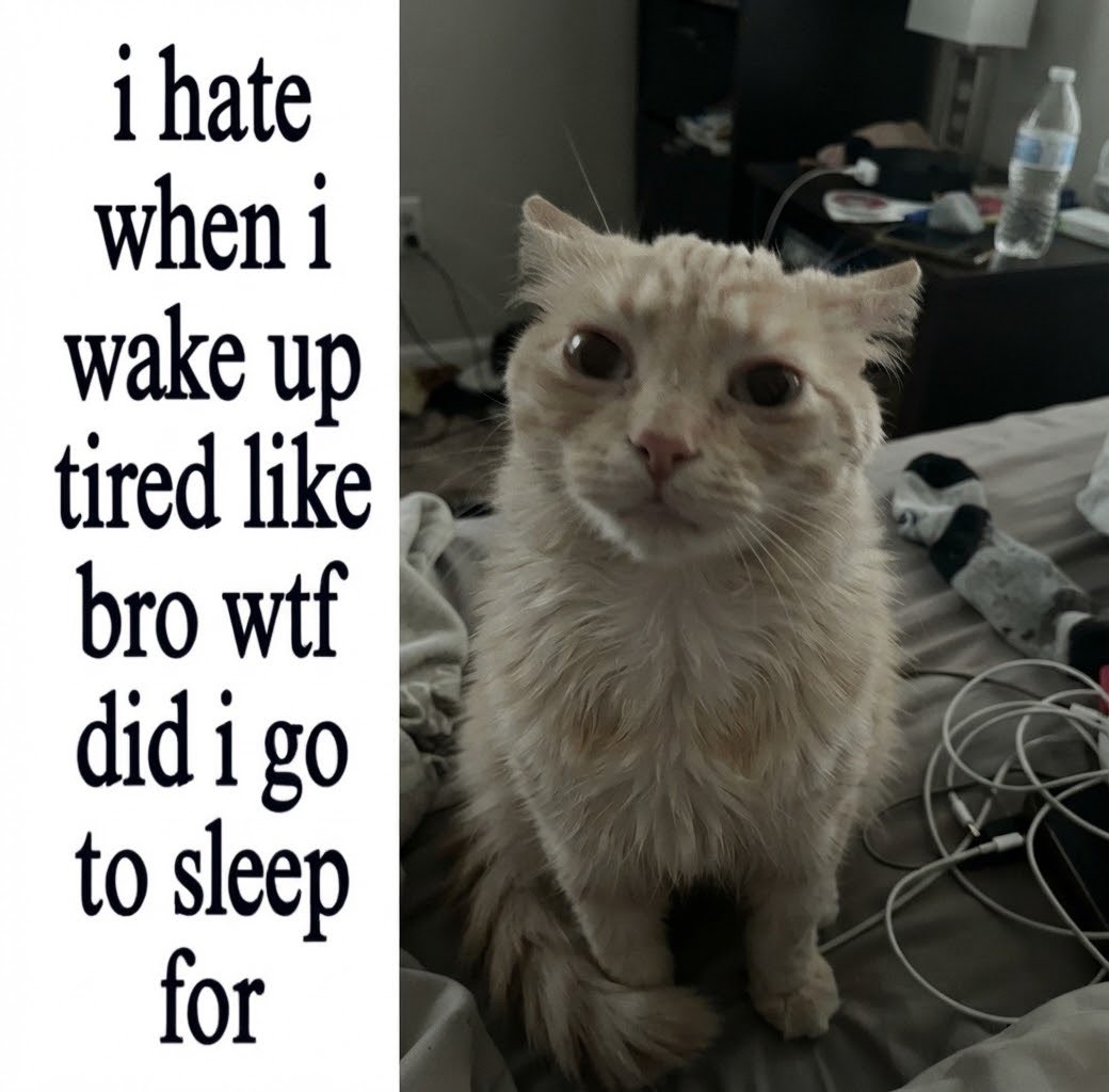 sillymeow4u's tweet photo. https://t.co/WTjmtSKoHe