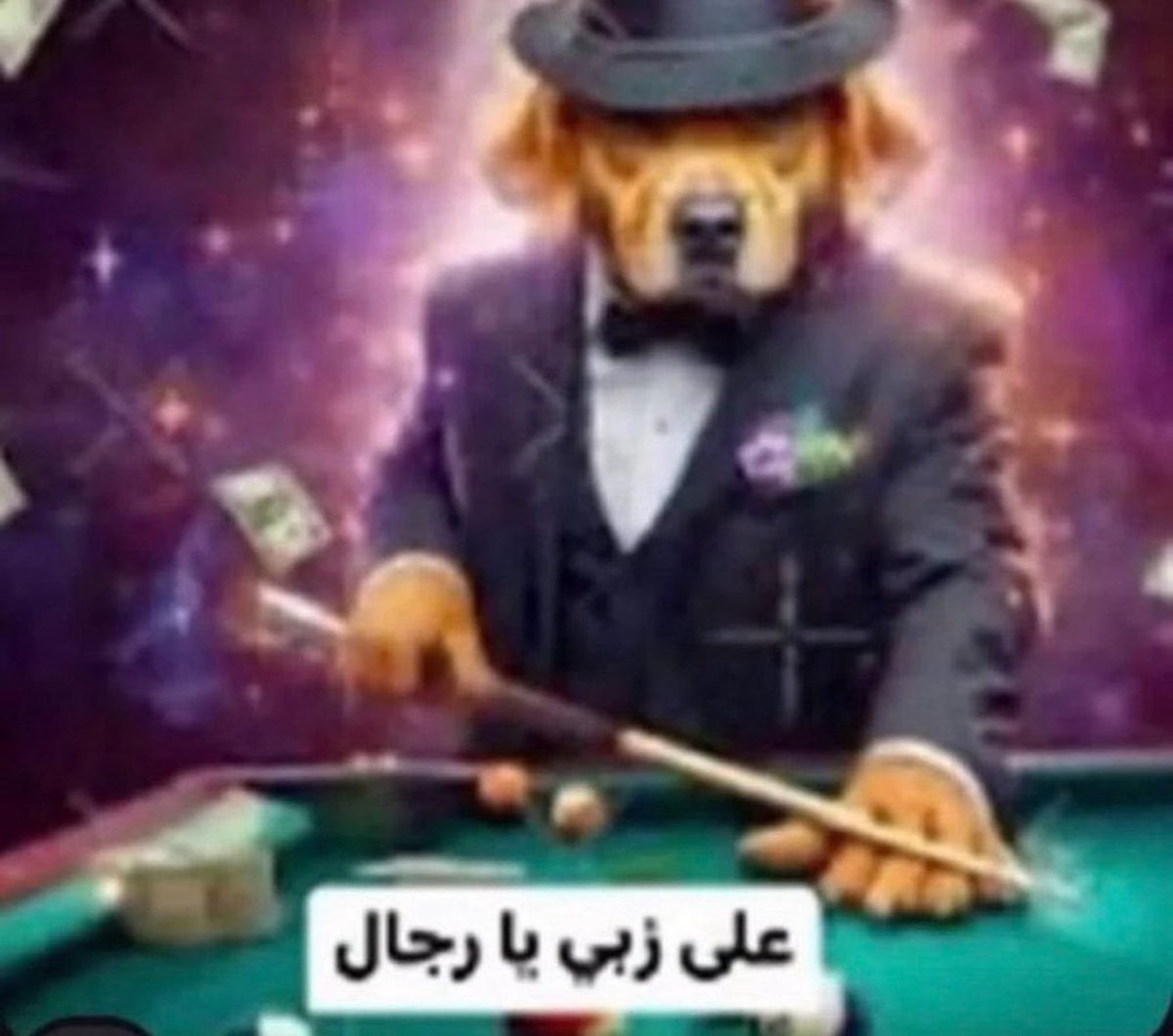 LmLkiy's tweet photo. اذا تهاوشت مع واحد وضمنت انه مو سعودي https://t.co/DJIFQRiymf
