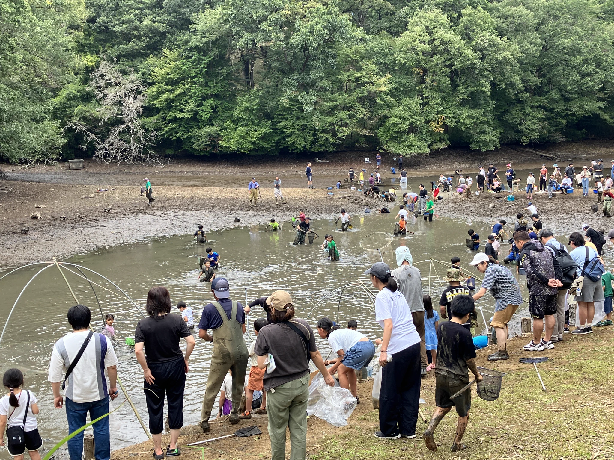 国営武蔵丘陵森林公園 on X: 