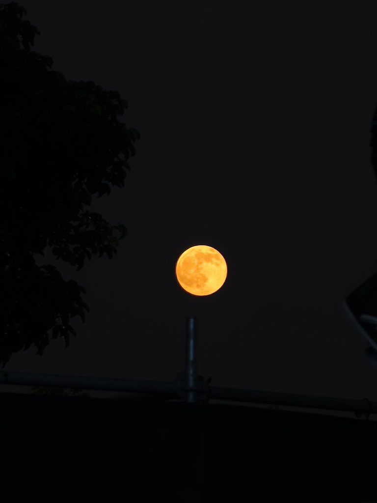 moodzuniverse's tweet photo. 🧡🌕💙
오늘도 승연이 덕분에 정말 낭만적이고 행복한 밤을 보냈어...
사랑해..ㅜㅜ♡

⋆ ₊ 260926 * ₊ ⋆
Krazy Festival in Taipei

#조승연 #woodz #우즈 https://t.co/LoZwcQqLZF