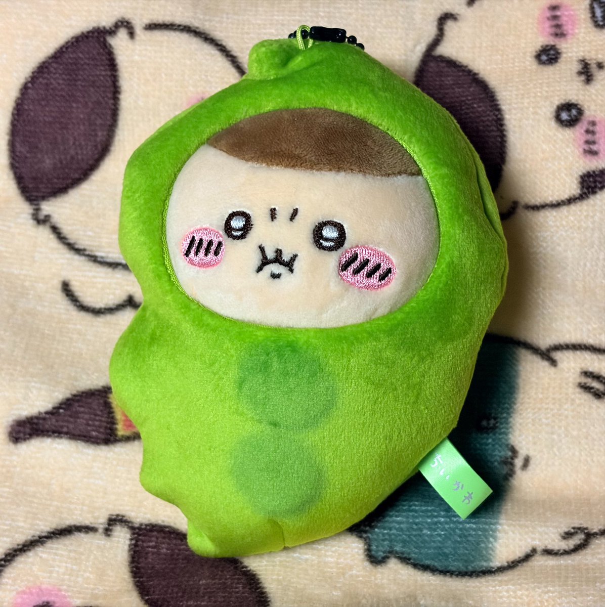 kyinp829's tweet photo. PUNちゃんと
とても相性が良い😌 https://t.co/BMRjmd2O2k