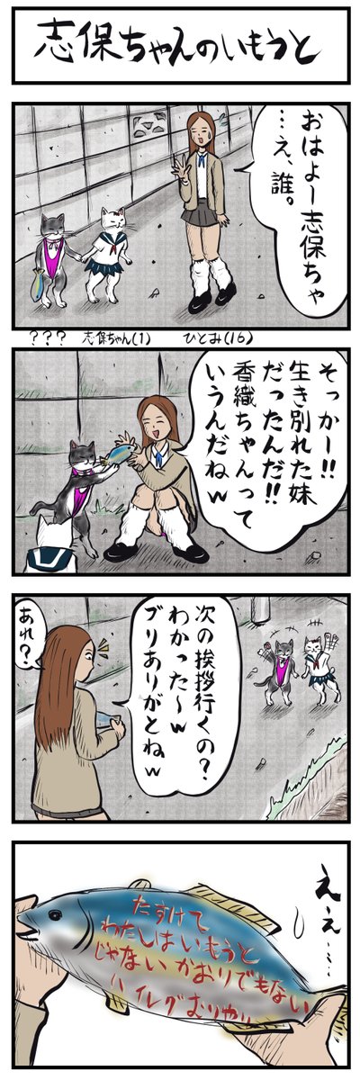 kanimiso_1_'s tweet photo. ４コマ再掲🐱🐱🐟👙
「志保ちゃんのいもうと」
＃4コマ漫画 https://t.co/EGtdlVuzwE