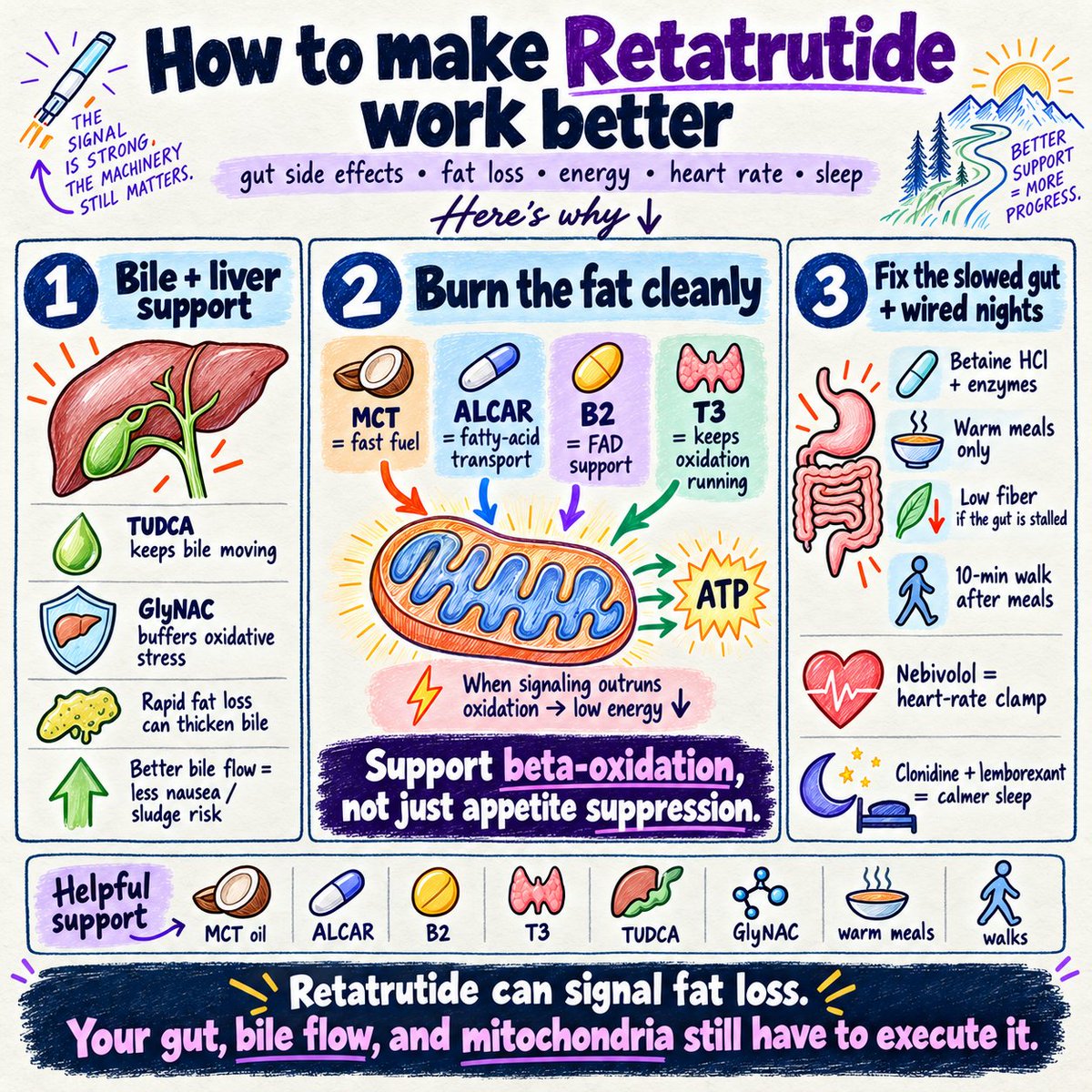 biohackerziv's tweet photo. People taking Retatrutide who are experiencing gut related side effects, struggling to lose fat or dealing with low energy, would benefit greatly from adding:

• TUDCA
• T3
• GlyNAC
• 5–10 mL of Coconut/MCT oil with each meal
• 250 mg of ALCAR 2–3x per day
• Vitamin B2 (R5P) 4–5x per day
• Walking after meals
• Betaine HCl and digestive enzymes
• Warm meals only
• Low-dose Nebivolol for heart rate management
• Avoiding excessive fiber intake
• Clonidine and lemborexant for sleep issues

Here's why and science behind:👇

The Biliary Flush & Hepatic Detox: TUDCA & GlyNAC

The glucagon agonism of Retatrutide causes unprecedented, rapid clearance of intrahepatic triglycerides (reversing fatty liver within weeks).

However, dumping that volume of mobilized lipids and cholesterol directly into the biliary tree creates severe physiological strain:

• TUDCA (Tauroursodeoxycholic Acid) — Preventing Biliary Stasis:

When the liver exports massive waves of cholesterol into bile, the bile becomes supersaturated, viscous, and lithogenic.

This leads to biliary sludge, impaired bile flow, and an extreme risk of gallstones (cholelithiasis)—a primary complication of rapid weight loss.

TUDCA is a hydrophilic bile acid that displaces toxic, hydrophobic bile salts.

It stimulates the Bile Salt Export Pump (BSEP), dramatically lowers bile viscosity, prevents cholestasis, and resolves endoplasmic reticulum (ER) stress in hepatocytes, keeping the liver and gallbladder flushing smoothly.

• GlyNAC (Glycine + N-Acetylcysteine) — Neutralizing Lipoperoxidative Stress:

Accelerated fat oxidation surges the generation of reactive oxygen species (ROS) and lipid peroxides.

Supplying Glycine and NAC directly feeds the rate-limiting enzyme Glutamate-Cysteine Ligase (GCL), surging intracellular Glutathione (GSH).

Glycine also provides the required substrate to conjugate toxic bile acids, while NAC protects liver parenchyma from oxidative collapse during hyper-accelerated lipolysis.

The Beta-Oxidation & Mitochondrial Engine: MCT, ALCAR, B2 & T3

Glucagon signals the body to burn fat, but signaling oxidation is not the same as having the cellular machinery to execute it.

If fatty acids enter circulation faster than mitochondria can oxidize them, you generate toxic lipid intermediates (ceramides, diacylglycerols) that cause severe issues.

• Coconut or MCT Oil (5–10ml with Meals) — Bypassing the CPT-1 Gate:

Medium-Chain Triglycerides (specifically C8/C10) bypass the lymphatic system and the rate-limiting Carnitine Palmitoyltransferase-1 (CPT-1) mitochondrial gate.

They diffuse directly into the mitochondrial matrix and convert rapidly into Acetyl-CoA and Ketone Bodies (beta-hydroxybutyrate).

This supplies instantaneous cellular ATP to the brain and heart, preventing the lethargic energy crashes typical of deep caloric deficits.

It will also help with intestinal lubrication and digestion.

• ALCAR (Acetyl-L-Carnitine, 250mg 2–3x Daily) — Long-Chain Transport:

While MCTs bypass transport gates, the mobilized long-chain fatty acids from Retatrutide require carnitine to cross the inner mitochondrial membrane via the CPT-1 and CPT-2 shuttle.

ALCAR donates carnitine for fatty acid transport while supplying an acetyl group to fuel the Krebs cycle, preventing mitochondrial gridlock and muscle catabolism.

• Riboflavin-5-Phosphate (B2 R5P, 4–5x Daily) — Powering FAD:

The very first step of mitochondrial fatty acid beta-oxidation is catalyzed by Acyl-CoA Dehydrogenase, an enzyme strictly dependent on Flavin Adenine Dinucleotide (FAD).

FAD is synthesized directly from active Vitamin B2 (Riboflavin-5-Phosphate).

If active B2 is depleted, beta-oxidation halts mid-cycle, spilling toxic dicarboxylic acids into the urine and causing extreme muscle weakness.

Micro-dosing(25-50mg) R5P throughout the day(Because of short half life and rapid renal clearance) keeps FAD pools saturated, allowing uninterrupted fat burning.

Some people also need extra B5.

• Low-Dose T3 (Liothyronine) — Sustaining Cytochrome c Oxidase:

Under heavy caloric restriction and rapid lipolysis, the body downregulates peripheral Type 1 and Type 2 Deiodinases, dropping active T3 to preserve energy.

Micro-dosing T3 (5mcg 3-4x per day) prevents metabolic adaptation, preserves basal metabolic rate, and directly drives Complex IV (Cytochrome c Oxidase) in the electron transport chain, ensuring cells cleanly burn the mobilized fatty acids.

The Mechanical Gastric Architecture: Overcoming Severe Hypomotility

Retatrutide’s GLP-1 and GIP agonism dramatically slows gastric emptying (gastroparesis).

Treating a Retatrutide-slowed gut like a normal digestive tract leads directly to food rotting in the stomach, sulfur burps, severe reflux, and intractable nausea:

• Betaine HCl & Full-Spectrum Digestive Enzymes:

Delayed gastric emptying causes stomach acid to buffer out, leading to functional hypochlorhydria.

Proteins sit un-denatured, putrefying and generating gas.

Taking Betaine HCl and Digestive Enzymes forces the chemical breakdown of chyme in the upper stomach, eliminating the nausea and sulfur gas caused by undigested food sitting for 8 hours.

• Strictly Warm Meals & Zero Cold Water Around Meals:

Cold fluids shock the pyloric sphincter and gastric smooth muscle, triggering acute gastric spasm and diluting what little stomach acid exists.

Consuming only warm, cooked foods and warm fluids maintains local microcirculation and ensures digestive enzymes operate at peak kinetic temperatures.

• Avoiding High-Fiber Diets:

Mainstream dietitians push massive fiber on peptide patients, which is a catastrophic mistake.

In a hypomotile gut, insoluble fiber forms physical obstructions (bezoars), ferments into excess hydrogen and methane gas, feeds SIBO, and exacerbates severe abdominal distension.

Keep carbohydrates easily digestible, peeled, and thoroughly cooked (white rice, pureed squash, strained fruit juices).

• The 10-Minute Post-Meal Walk:

Gentle postprandial ambulation stimulates mechanoreceptors and parasympathetic vagal output, mechanically driving gastric clearance and intestinal peristalsis without triggering nausea.

Autonomic Clamping & Sleep Architecture: Nebivolol, Clonidine & Lemborexant

Both GLP-1 and Glucagon receptors are expressed directly on cardiomyocytes and autonomic control centers:

• The Tachycardia Reality:

Retatrutide directly stimulates GLP-1 and Glucagon receptors in the Sinoatrial (SA) node, while elevated glucagon upregulates systemic sympathetic nervous system tone.

This causes an unavoidable, persistent elevation in resting heart rate (typically +5 to +15 bpm) that disrupts sleep, elevates cortisol, and strains the cardiovascular system.

• Low-Dose Nebivolol (2.5mg) — The Selective Beta-1 Clamp:
Traditional beta-blockers (like Propranolol or Metoprolol) blunt lipolysis, impair insulin sensitivity, and cause fatigue.

Nebivolol is completely different: it is an ultra-selective Beta-1 adrenoceptor antagonist with unique Beta-3 agonist-mediated Endothelial Nitric Oxide (eNOS) properties.

It slows resting heart rate back to optimal baseline, lowers blood pressure, and improves peripheral vascular flow without interfering with Retatrutide-induced fat oxidation.

• Clonidine (50-100mcg) — The Central Sympathetic Brake:

An agonist at central presynaptic Alpha-2A adrenoceptors in the rostral ventrolateral medulla.

Clonidine directly shuts down excessive central norepinephrine outflow, muting the "wired-and-tired" jitteriness driven by glucagon and dropping nighttime stress hormones.

• Lemborexant (Dayvigo, 5mg) — Precision Sleep Architecture:

Sympathetic over-activation on Retatrutide causes nocturnal awakenings and fragmented Slow-Wave Sleep.

Do not use GABAergic sedatives (benzodiazepines or Z-drugs), which cause tolerance and suppress respiratory drive.

Lemborexant is a Dual Orexin Receptor Antagonist (DORA) that selectively blocks OX1 and OX2 receptors in the lateral hypothalamus.

It silences the hyperactive wakefulness signal triggered by sympathetic overdrive, allowing natural, restorative Slow-Wave and REM sleep architecture without morning hangover.

Obviously: B100 Complex, Trace minerals Complex and Estroban(A,D3,K2,E).