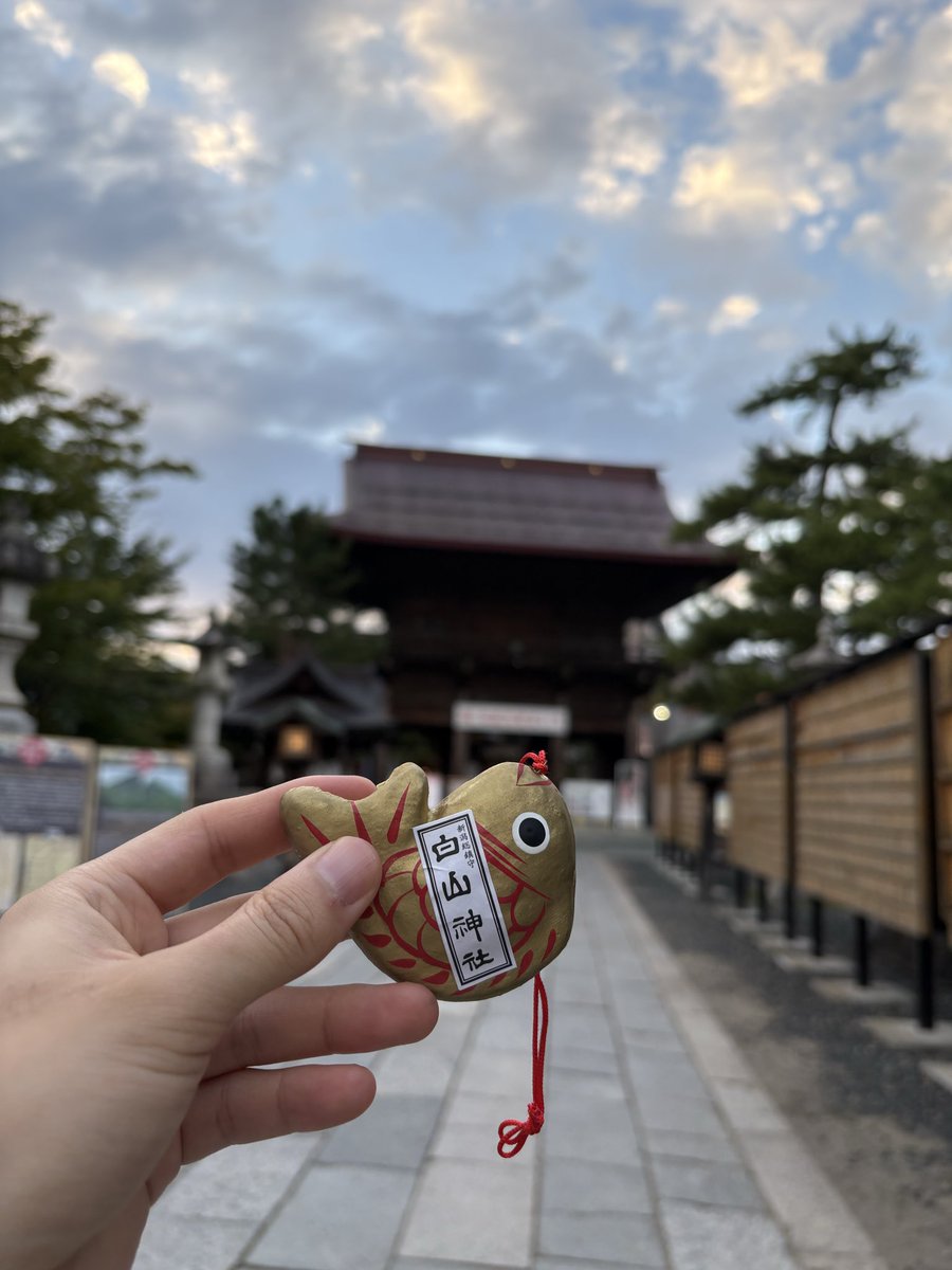 S5Zgks's tweet photo. 新潟🌾 https://t.co/GwyQx6dqnd