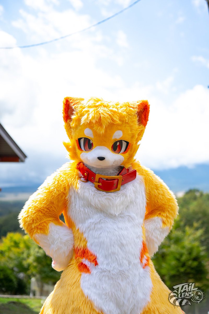 KemoPito's tweet photo. やっと晴れたね！何して遊ぶ？？

📸@TailLens96 

#ふぁーろっじ
#りす村別荘 https://t.co/jWHeGlv4O1