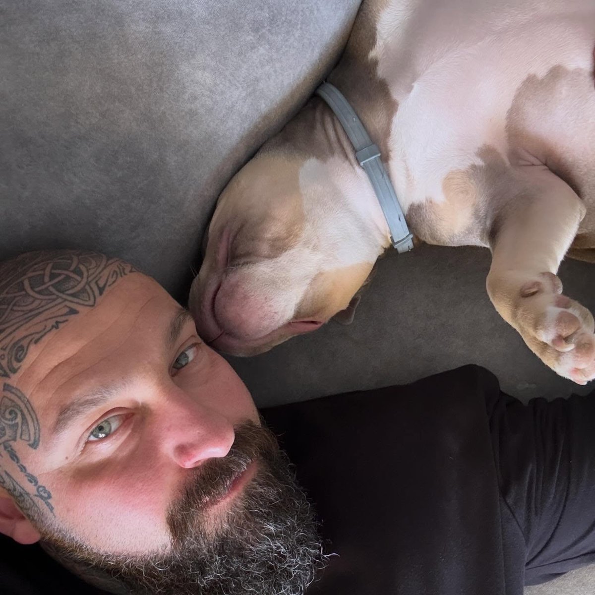 ChaseDubactd's tweet photo. A dog. https://t.co/jIMYriJk4l