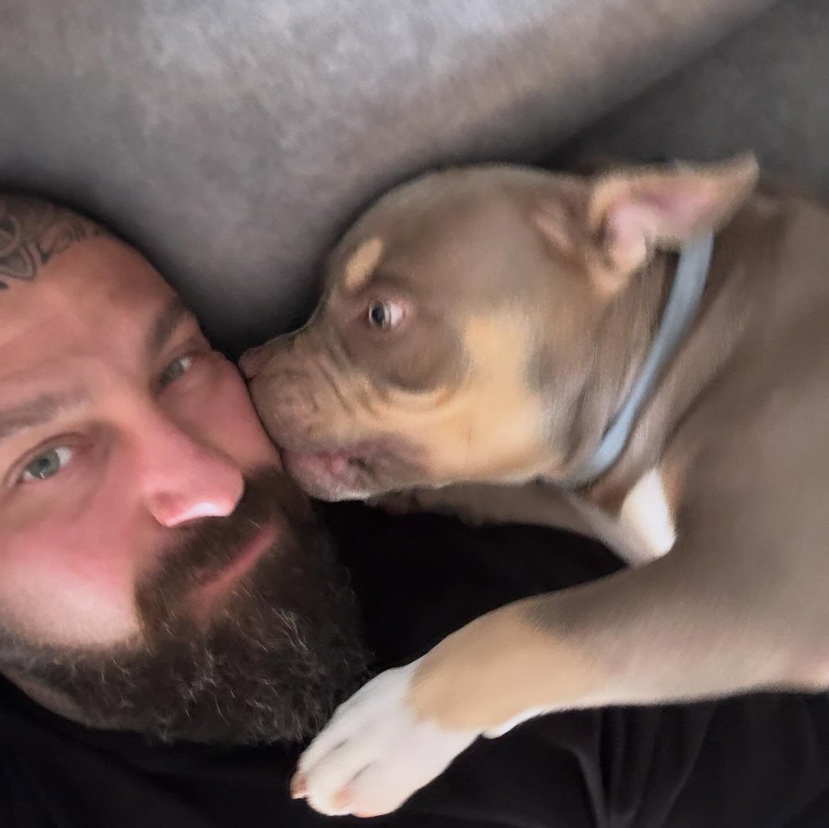 ChaseDubactd's tweet photo. A dog. https://t.co/jIMYriJk4l