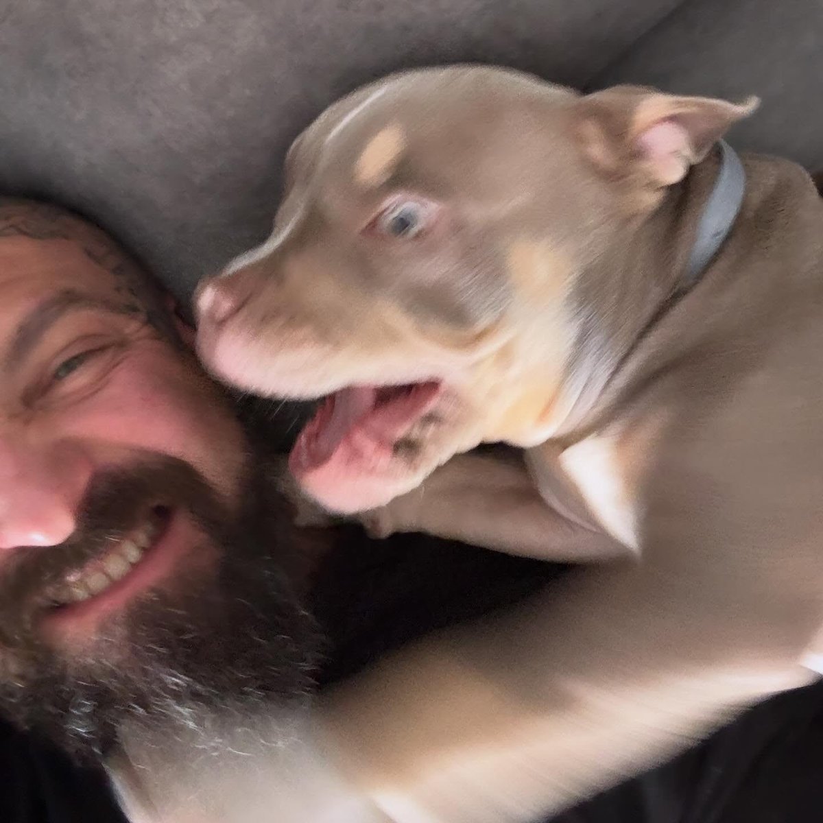 ChaseDubactd's tweet photo. A dog. https://t.co/jIMYriJk4l