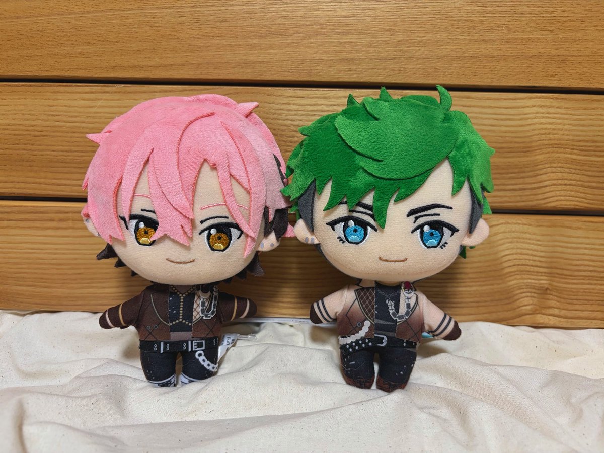 seah_712's tweet photo. お迎えして来た〜！！
いっぱいお出かけしようね☺️ https://t.co/8hFfQj5dOz