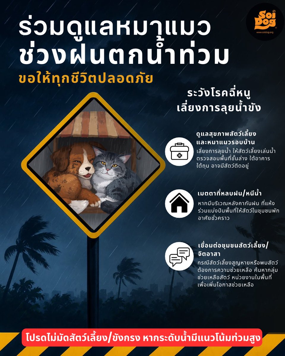soidogthailand's tweet photo. *สำคัญมาก
ห้ามขังกรง/มัดเชือกสัตว์เลี้ยงหากฝนตกต่อเนื่อง
- คนและสัตว์เลี่ยงไม่เดินลงน้ำขัง ยกเว้นจำเป็น
- แบ่งปันพื้นที่หลบภัยสัตว์ในชุมชนชั่วคราว

-เชื่อมต่อชุมชนกลุ่มอาสาช่วยเหลือสัตว์ องค์กรต่างๆ 

ขอให้ทุกชีวิตปลอดภัยในช่วง #ฝนตก #น้ำท่วม ค่ะ https://t.co/SUpD9ZF5kD