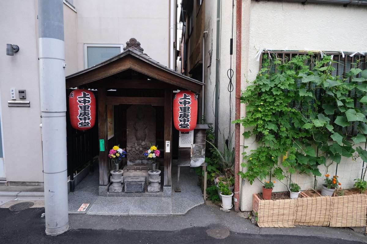 Ardu1Rj's tweet photo. 上中里をお散歩 https://t.co/y7PgWLWxYg