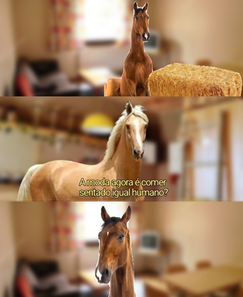 Momoamoras's tweet photo. Eu não tanko essa aqui. O cavalo só tava comendo feno, cara KKKKKKKKKKKKKKKKKKKK

🎭 Piada merda (26/09/2026) https://t.co/Y942J7rgro