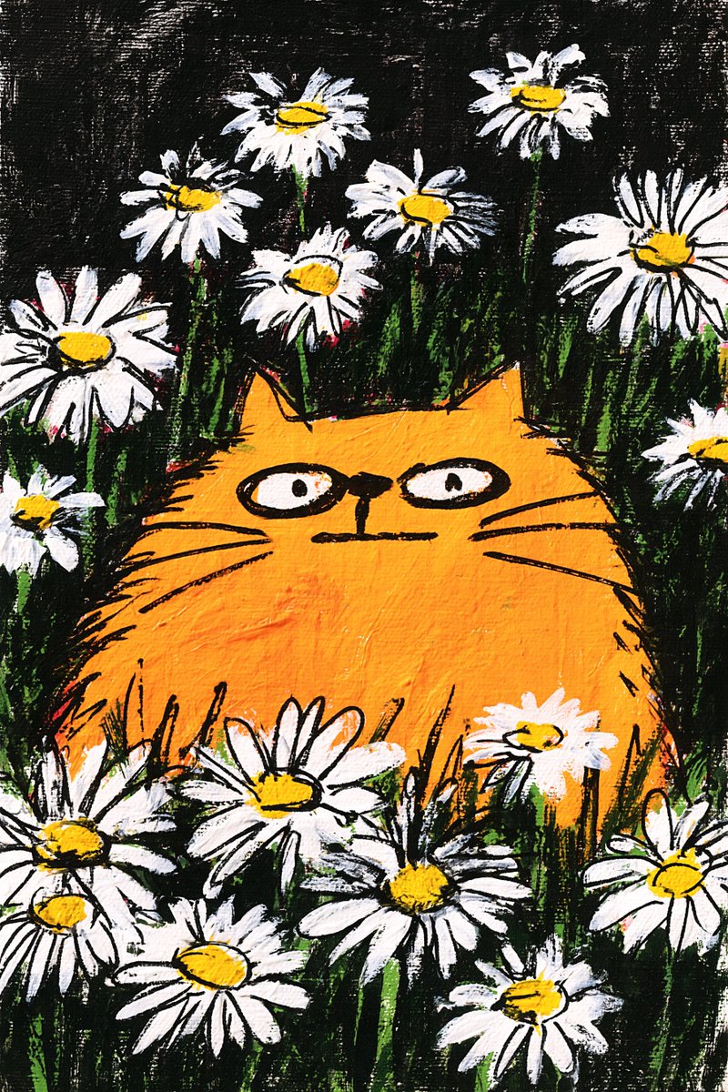 AiMeowing's tweet photo. https://t.co/1YLNruHCfc