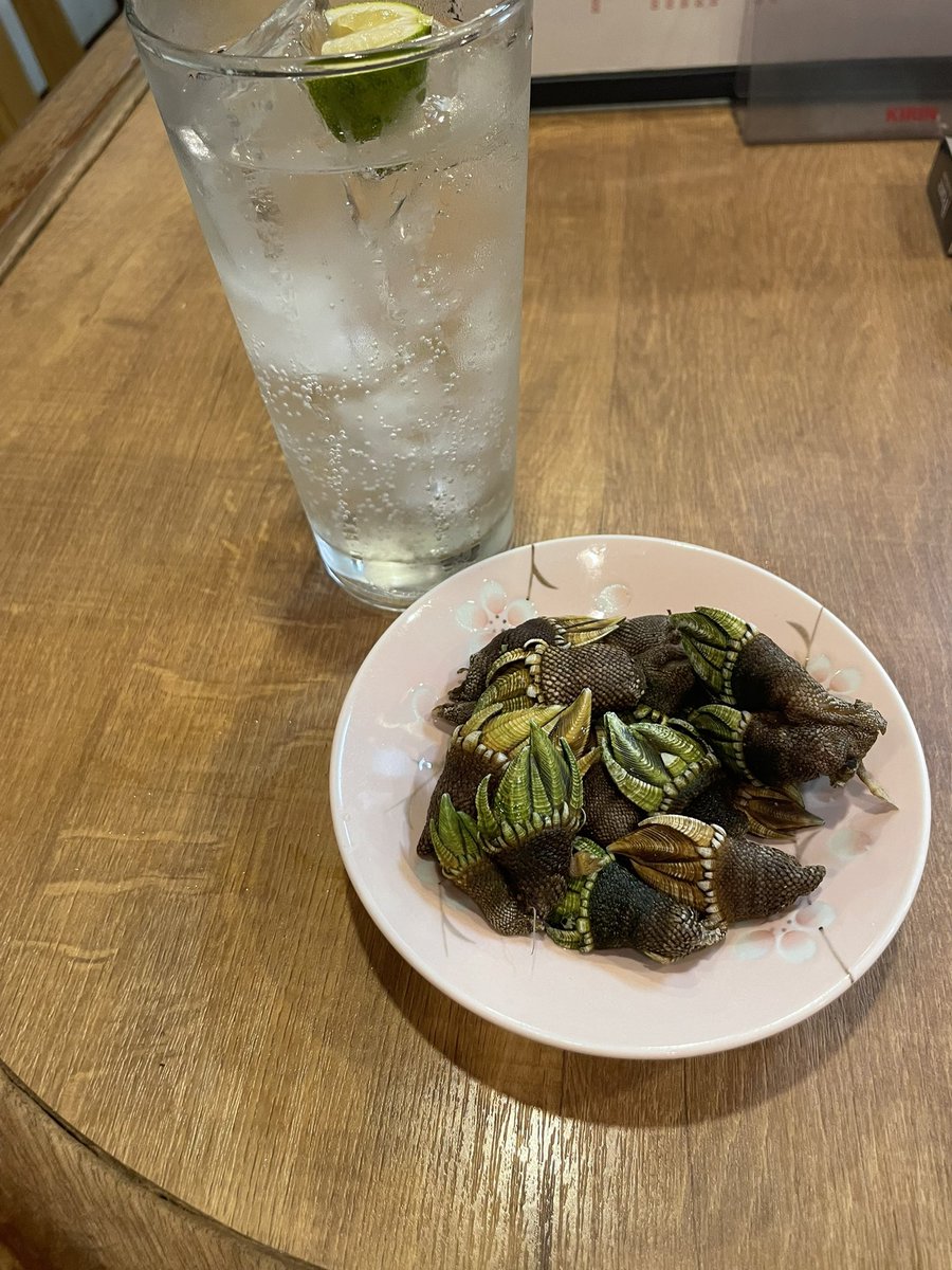 ScarletRowan's tweet photo. 京橋でカメノテ置いてるのなに？ https://t.co/Fe4MIztQcE