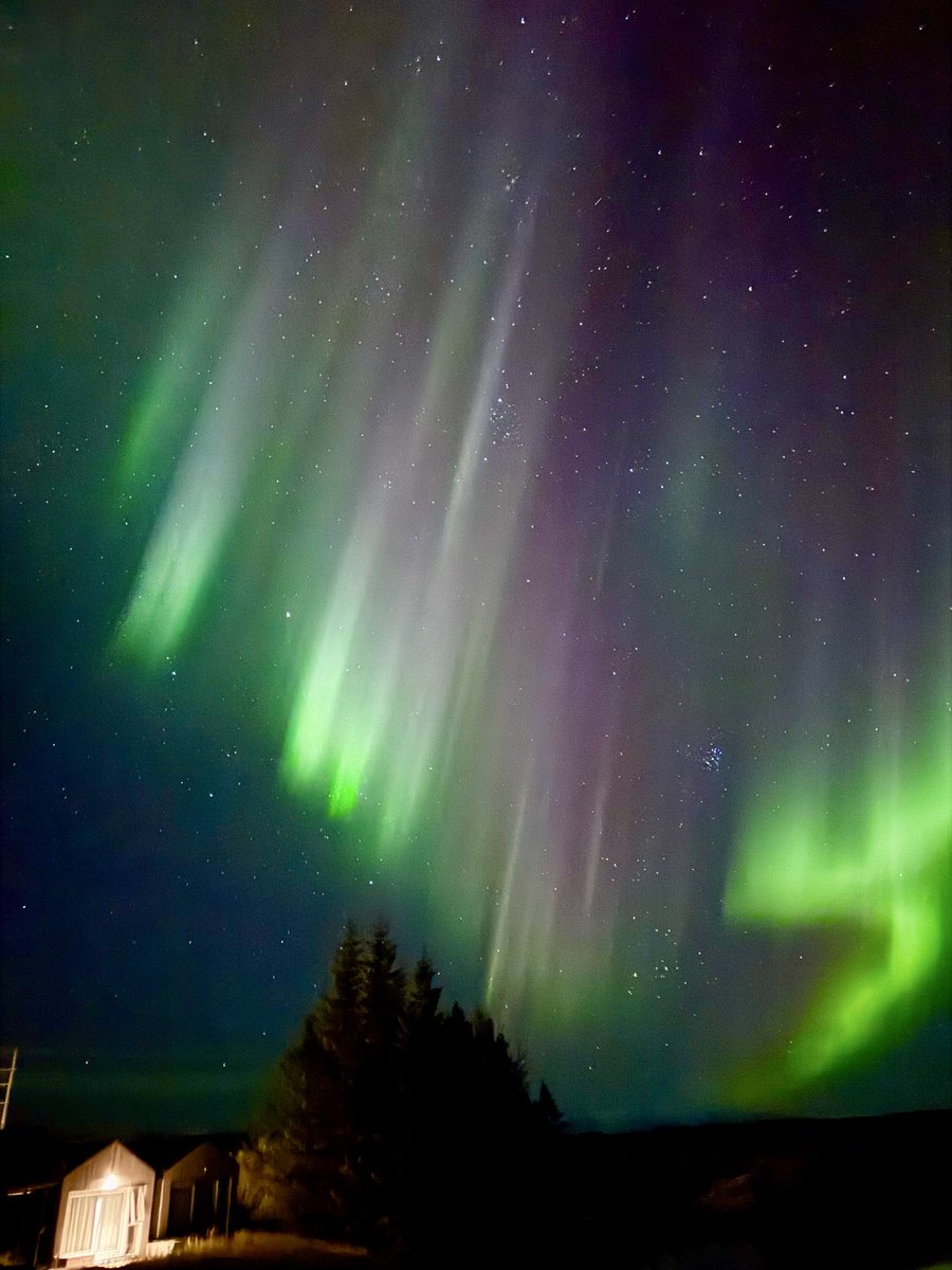 Al_Suwailan's tweet photo. ظاهـرة " الشفق القطبي " أضـواء الشمال ( Aurora ) في إيسلندا 🇫🇮 

قبـل عامين كُنت فـي النرويـج  🇳🇴 وتحديداً في مدينة " ترومسو " في منتصف شهر يناير وكان الهدف من الرحلة مشاهدة الشفق القطبي أو مايعرف بـ أضواء الشمال" الأورورا فقد كانت هذه المدينة هي الأفضل في رصد هذه الظاهرة الغريبة

في تلك الأيام خرجت لعدة أيام بحثاً عنه وانضممت إلى عدة شركات تنظم ما يُسمى بـ "اصطياد الشفق القطبي " وهي رحلات مكلفة جداً وخصوصاً أنني كنت مع عائلتي وكل ذلك على أمل أن تضيء السماء أمامي بتلك الألوان الساحرة 

لكن للأسف الحظ لم يكن إلى جانبي فعدت لى بلدي بخيبة أمل دون أن أراه بالصورة التي كنت اتخيلها 

واليوم أنا في آيسلندا لم يكن الشفق القطبي من ضمن البرامج المخطط لها فشهر سبتمبر لا يمنح فرصاً كبيرة لرؤيته ولم تكن في نيتي أصلاً الخروج للبحث عنه 

وفي إحدى الليالي توقفت للمبيت لليلة واحدة في فندق ريفي هادئ صغير وجميل بعيداً عن الأضواء يطل على بحيرة رائعة يسمى Magma Hotel القابع بين مدينة Vík و Hofn  وكأنه استراحة خبأتها آيسلندا على قارعة الطريق

لم يكن المبيت غايةً في حد ذاته بل محطة عابرة لاستكمال رحلتي نحو جنوب شرق آيسلندا وكان في ذلك اليوم الطقس جميل ومشمس والسماء زرقاء صافية غير ملبدة بالغيوم 

أستقبلنا مدير الفندق بكل لطف ورحب بنا وسألنا من اي البلدان نحن ودار حوار بين أبنتي الصغيرة وبينه فسألته من باب الصدفة والفضول هل تعتقد أنه من الممكن مشاهدة الشفق القطبي هذه الليلة ؟ 

ابتسم وقال: لو كنت أعلم متى سيظهر بالضبط لكان لدي الآن شركة تدر علي الملايين 😌 ابتسمنا وانتهى الحديث بيننا

لكن المفاجأة أنني رأيته في الليلة نفسها 
بكل بساطة يتلألأ بتموجاته الضوئية ويتراقص بألونه الساحرة في حضن الظلام الدامس فوق غرفتي مباشرة  ومن دون رحلات منظمة ولا انتظار ساعات طويلة في البرد ولا دفع مبالغ باهظة وقد ظل متوهجاً في السماء حتى ساعات متأخره من الليل  يتشكل بتشكيلات مذهلة وكأنه لوحة فنية كونية حية 

ربما بعض الأشياء الجميلة لا تأتي عندما نبحث عنها بل عندما نتوقف عن البحث 

بعد أن خرجت للبحث عنه في بلد آخر يبعد ٣ ساعات بالطائرة ✈️ جاءني هنا وكأن الله أراد أن يعوضني من غير تكلف عن رحلتي السابقة

إن بعض اللحظات قد لا تحتاج إلى تخطيط مسبق بل تحتاج فقط إلى أن تكون حاضراً عندما يحين الوقت ✋🏼