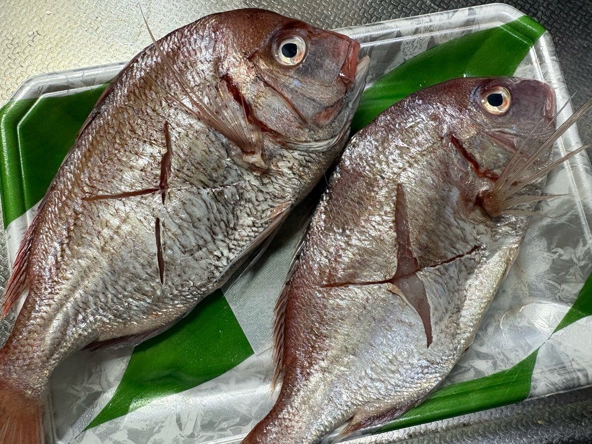 gamshi2008's tweet photo. 魚に✖️をつけるのは楽しいし気持ちよかった
みんなはどんなや
テトテト https://t.co/aSbOBQrqs9