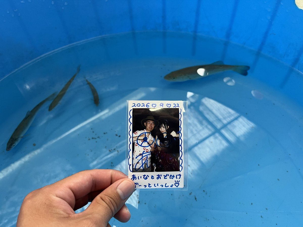 SKE48001's tweet photo. 七星あいなさん👸❤️‍🔥
豊田市広瀬やな鮎食事デート🚘🐟⛰️

小さい頃からお世話になっている
#広瀬やな にあいなさんと山、川
自然感じながら美味しく頂きました❣️

家族毎年行事ですが肌寒い時は初
あゆ暑い真夏が一番美味い🤙

#七星あいな @Aina__AS
#あいな　#巳己巳己　#いこみき
#可愛い　#アイドル https://t.co/ExF4xqwLaU