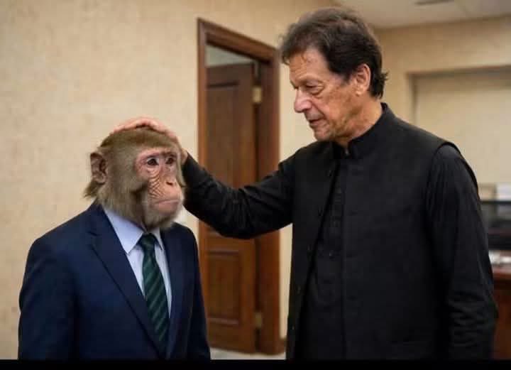 IKZBVerse's tweet photo. @zubairniazi ہمارا مارچ ہماری مرضی ۔۔۔ اس میں رونے کی کیا بات ہے مسٹر ٹر ٹر 🤣 https://t.co/xkqkaTytjh