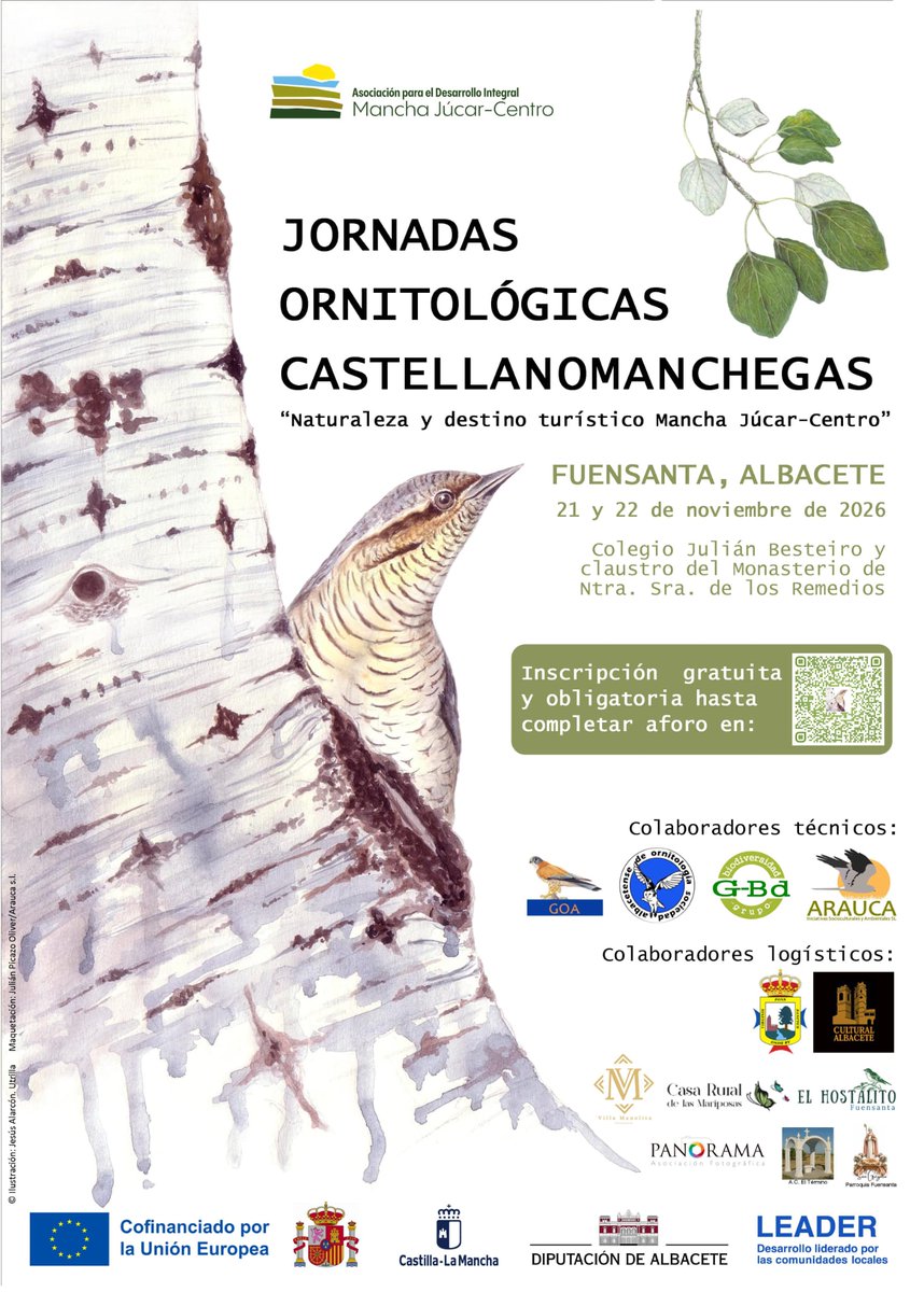 RevistaQuercus's tweet photo. 🦉 🦅 En las Jornadas Ornitológicas Castellanomanchegas se hablará de la conservación de la alondra ricotí o de las aves esteparias, entre otros temas.

✍️  Inscripción gratuita hasta completar aforo
🗓️  21 y 22 de noviembre
📌  Fuensanta (Albacete)
🔗  https://t.co/WgtVGnBuu3 https://t.co/4xQIO2v92Y
