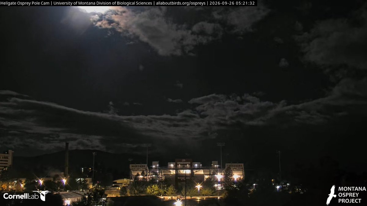 HellgateOsprey's tweet photo. 05:21, 9/26 We're catching a little moonlight over the stadium! #HellgateOsprey https://t.co/UXHFD8qNwf
