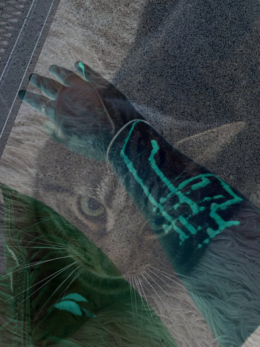 Shortalpha_twit's tweet photo. Some sfx art I did featuring kitty #shtwt #shrtwt #owchietwt #slittwt https://t.co/008tZFhkle
