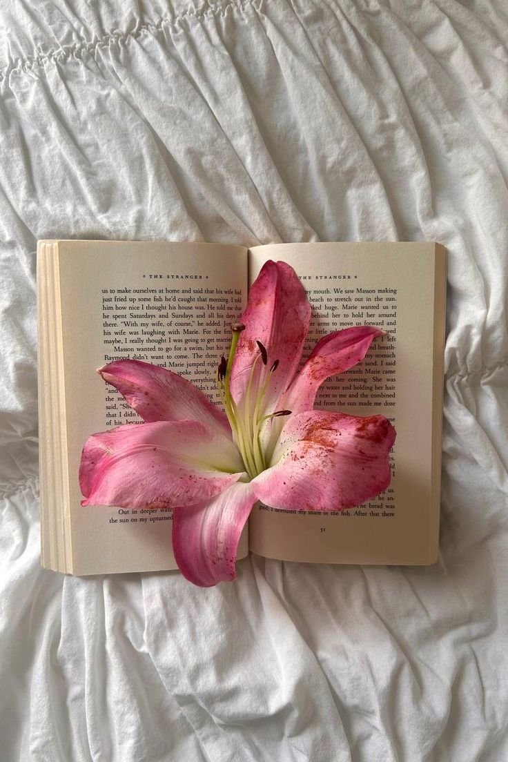 dreamyflowerrs's tweet photo. lily https://t.co/lGJaQz1D11