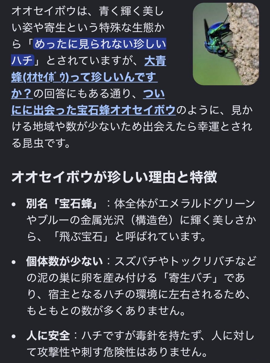 FONClch_J's tweet photo. あの昼間見たハチ
そんな珍しかったん？ https://t.co/TZw3PWW7jq
