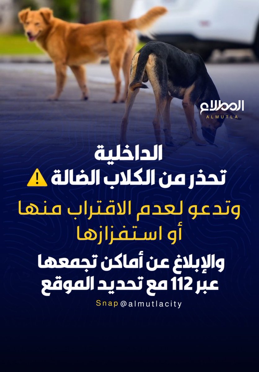 al_mutlacity's tweet photo. ⚠️ الداخلية تحذر من الكلاب الضالة

وزارة الداخلية تدعو إلى الحيطة والحذر عند رصد الكلاب الضالة، وعدم الاقتراب منها أو استفزازها، مع ضرورة مراقبة الأطفال والحرص على سلامة كبار السن.

📞 للإبلاغ عن أماكن تجمع الكلاب الضالة: 112 مع تحديد الموقع بدقة. https://t.co/fjmbJrKwga