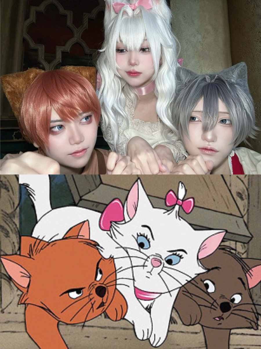 alb__An's tweet photo. ⚠︎ おしゃれキャット擬人化

🧡  なぜ君が先だ ?
　　　　　　　     私は レディだからよ  🩷
 
#Dハロ仮装2026
#Dハロ仮装 https://t.co/NohoVYQKAE