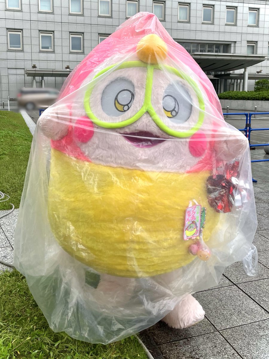 pukumaru2929's tweet photo. 雨雨だったので、カッパという名のゴミ袋を被ったら！プク丸ちゃんの目がくもってくもって視界ゼロ状態の時（1時間15分上陸した時）がありましたプク。みんなが目の前におられるのに見えないという…初経験でしたプクー
そんな中ずっと見てくれていたりお土産たくさんいただいたりしてありがとうプク〜 https://t.co/xo1z7sCDKZ