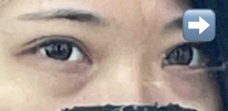 9_x_3's tweet photo. この激重クマを無加工で右側にする方法って需要ありますか https://t.co/ILvkCfoeDE