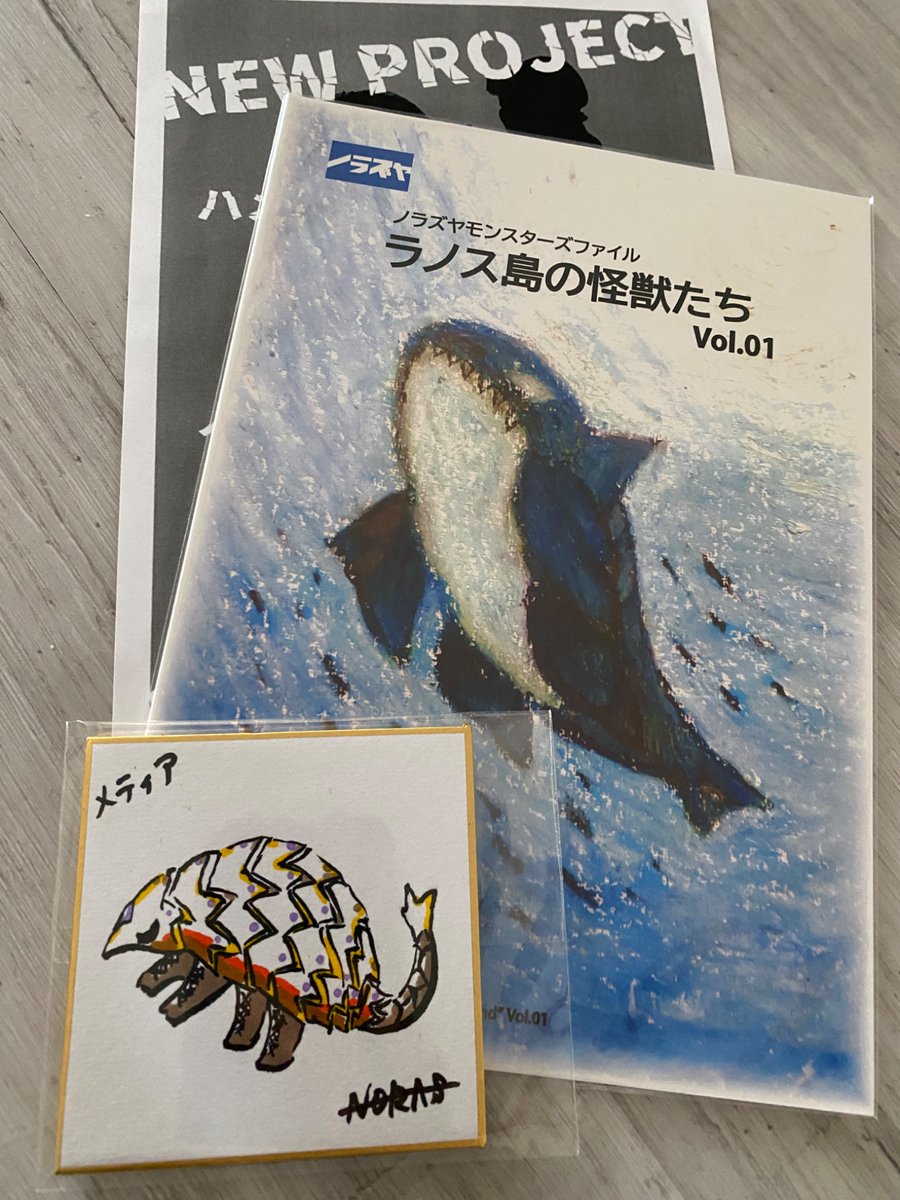 fumie_na's tweet photo. #ソフコン10 
これも上げ忘れてた？

@NORAS_sofvi さんの冊子！
コレ知らなくて！こういうまとめ欲しかったのでありがたい！

でも、vol.1に載ってない子もたくさんいるそうで…
ミニ色紙でアルマジロの子が気になったので、冊子と一緒に

vol.2楽しみに待ってます☺️ https://t.co/B9SKt1WvLV