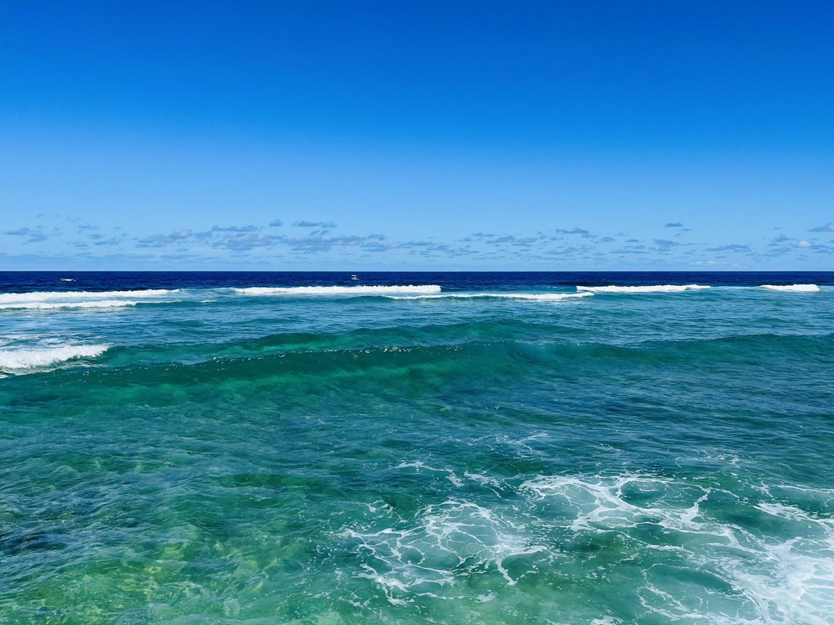 nauru_japan's tweet photo. ここはねぇ…ナウルの海の景色とかナウル飯とか紹介して、良識的なフォロワーの皆さんと仲良く交流するとこなんや😊

土足で踏み込んでくる失礼な輩が最近多いけど、ナウルの政策への苦情は日本の国会議員に嘆願して、外務省に抗議文つくってもらって、日本政府としてナウル共和国政府に出してくれや😡 https://t.co/TbbF72HNmJ