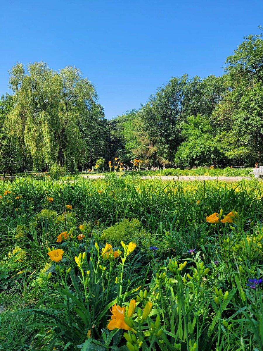 krakow_pl's tweet photo. 🌳 Lubicie wyzwania? W Krakowie czeka na Was niezwykła przygoda i możliwość zostania Odkrywcą Krakowskich Parków!

Wyzwanie już trwa! 🗺️ Odwiedzajcie krakowskie parki, szukajcie specjalnych skrzynek, zbierajcie unikalne pieczątki i odkrywajcie mniej znane zielone zakątki miasta. 🌿

📖 Książeczkę OKP możecie wydrukować samodzielnie lub odebrać w jednym z wyznaczonych punktów. Szczegóły znajdziecie na stronie Zarządu Zieleni Miejskiej w Krakowie.

🏅 Na wytrwałych czeka odznaka Odkrywcy Krakowskich Parków!

#Kraków #OdkrywcaKrakowskichParków #KrakowskieParki #ZZMKraków