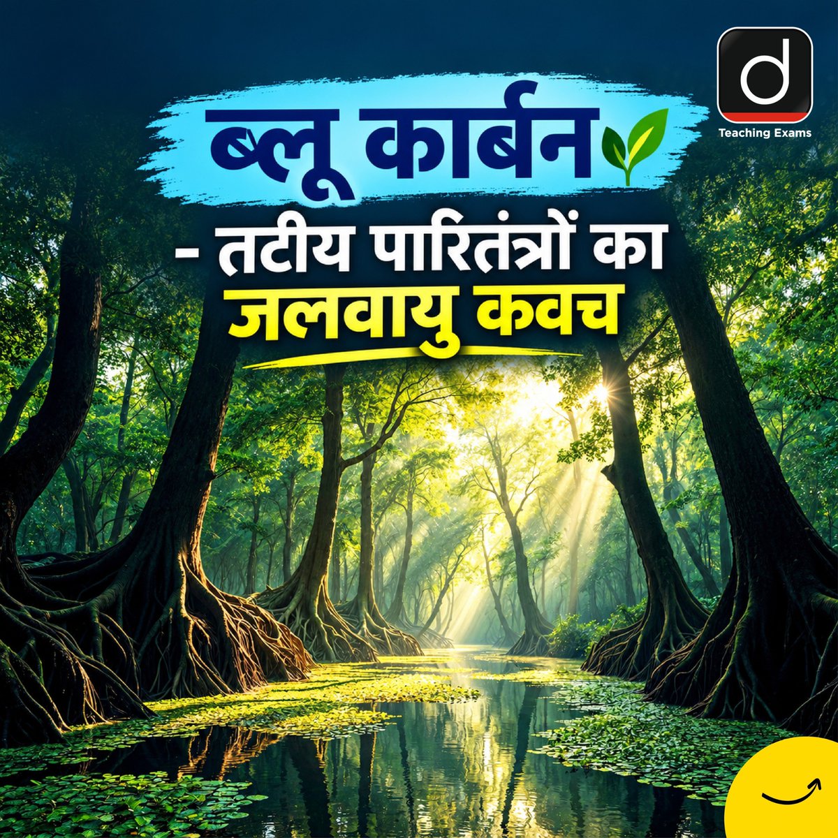 Drishtiteaching's tweet photo. मैंग्रोव, समुद्री घास और लवणीय दलदल सिर्फ तटीय पारितंत्र नहीं, ये कार्बन को संजोकर जलवायु परिवर्तन से लड़ने वाले प्राकृतिक कवच हैं।

#BlueCarbon #Mangroves #ClimateAction #OceanEcosystem #CoastalEcosystems #CarbonSequestration #Sustainability https://t.co/hn4CMua2LY