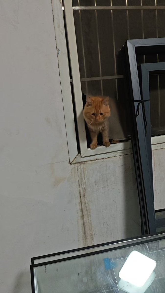 V_me_50's tweet photo. A swoop broke open the window screen, and I felt that it was still wronged https://t.co/k4Mx4tiTOh